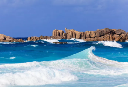 塞舌爾公司逾期年審有什么后果？